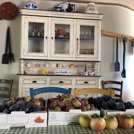 Agriturismo Bingia Bonaria Pula Ngoại thất bức ảnh